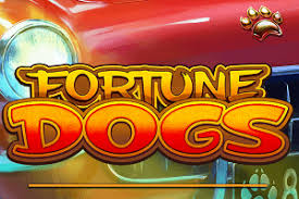 Fortune Dogs